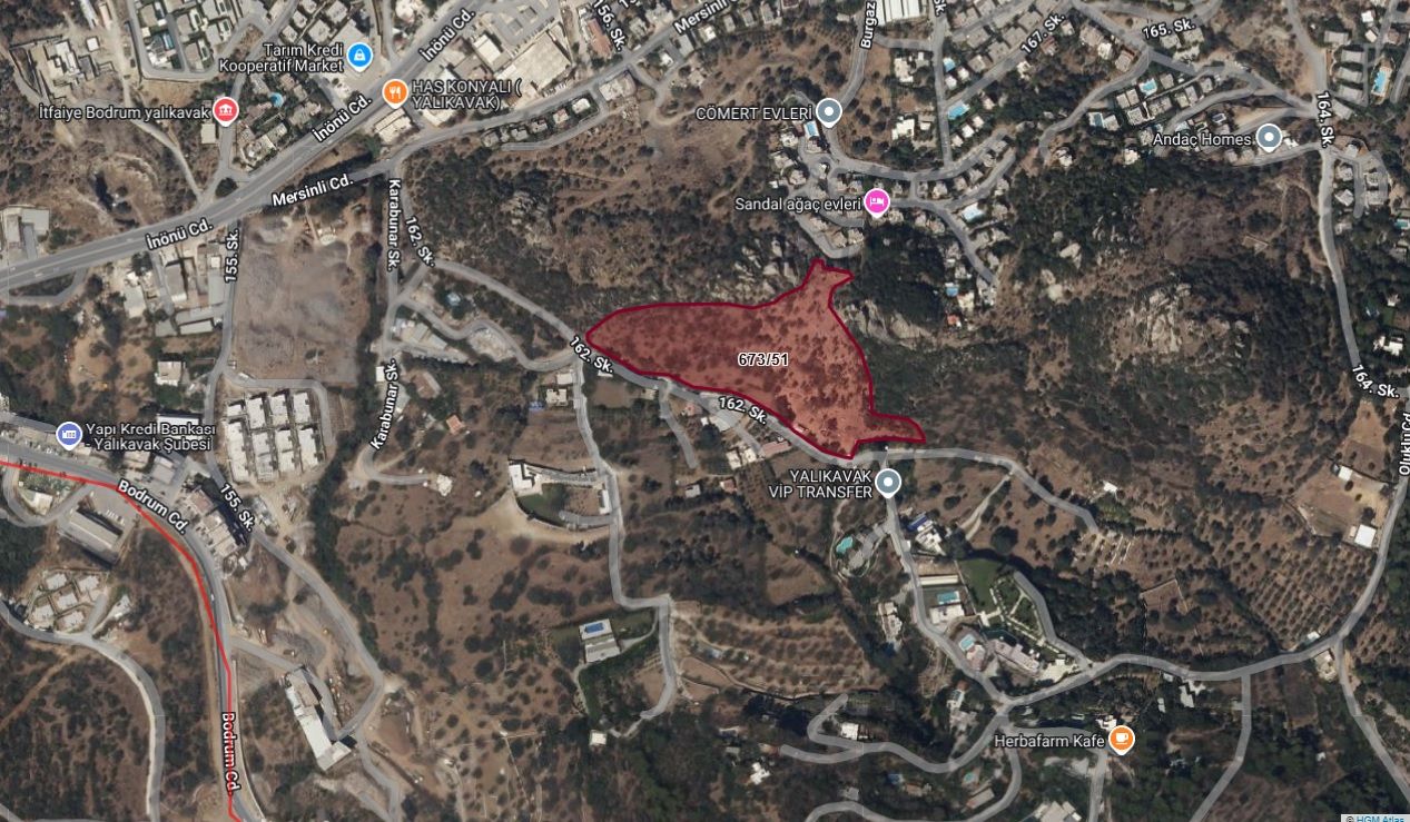 Bodrum’da İcradan Zeytinlik ve Tarla Satışı: Milyonluk Araziler İhaleye Çıkıyor