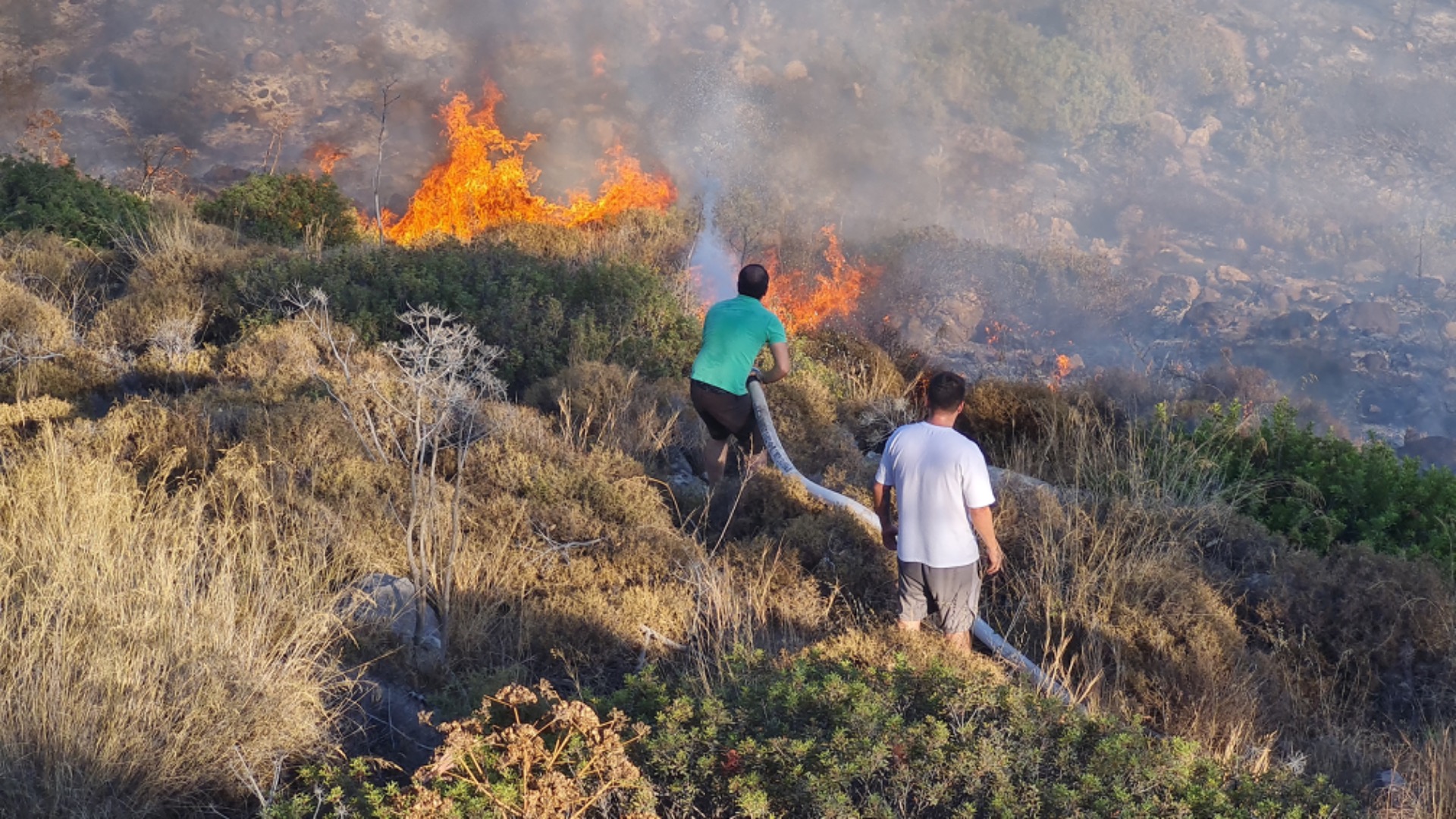 Bodrum’da Ali Kelle Ormanı kül oldu