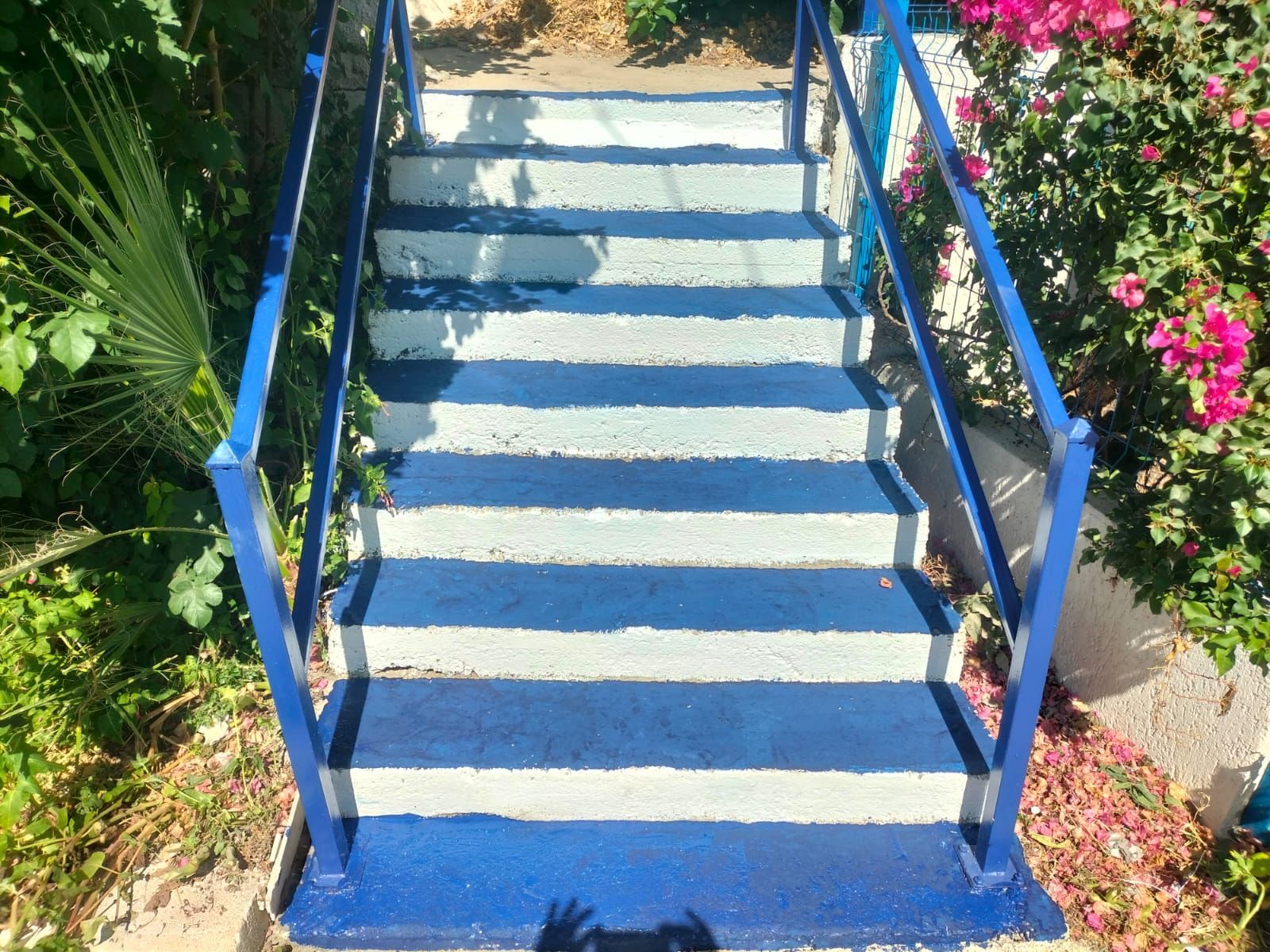 Bodrum’un Cadde ve Sokakları Mavi Beyaza Boyanıyor