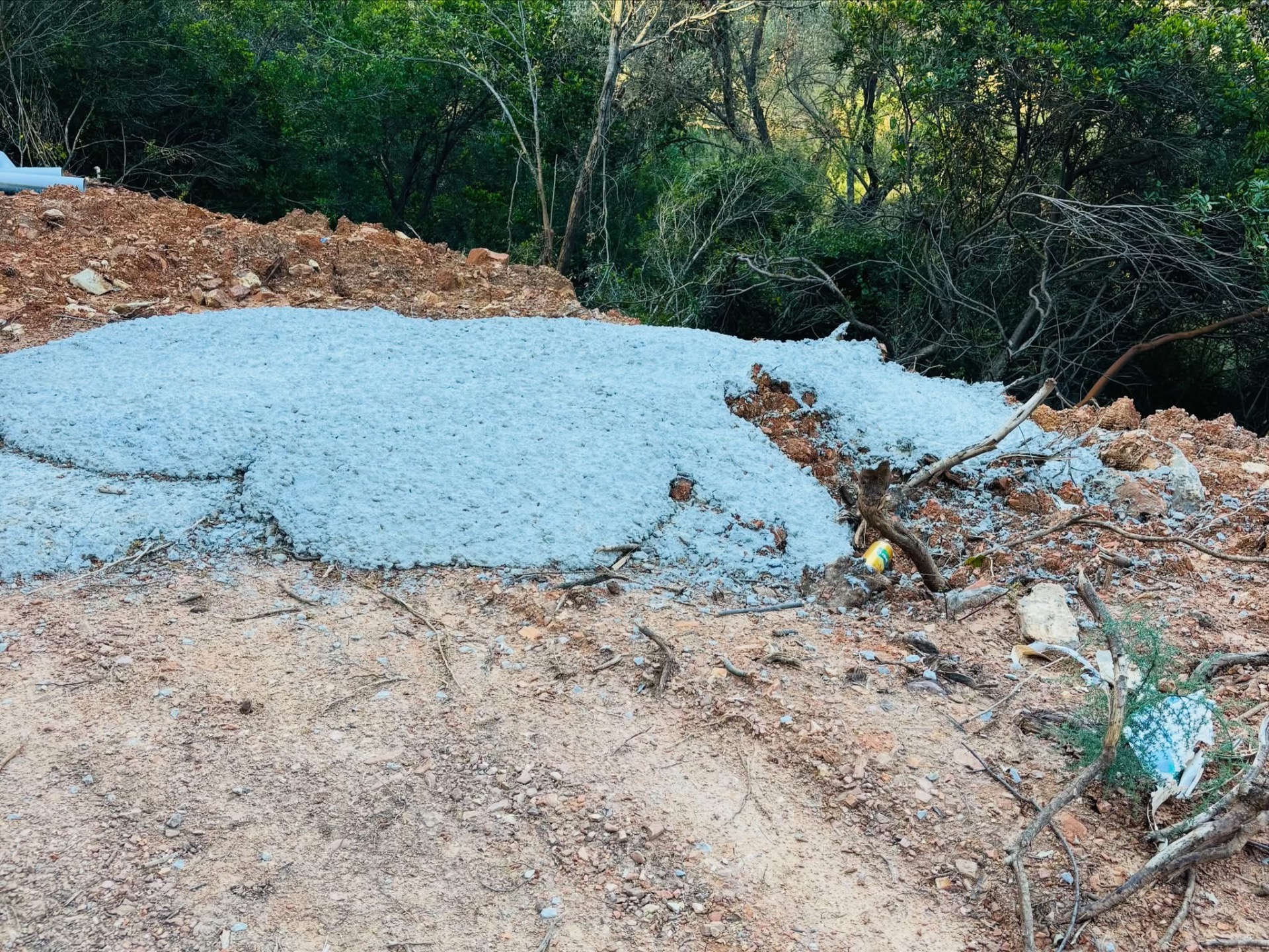 Kızılağaç’ta Doğa Katliamı İddiası: Vatandaşlar Sosyal Medyadan Tepki Gösterdi