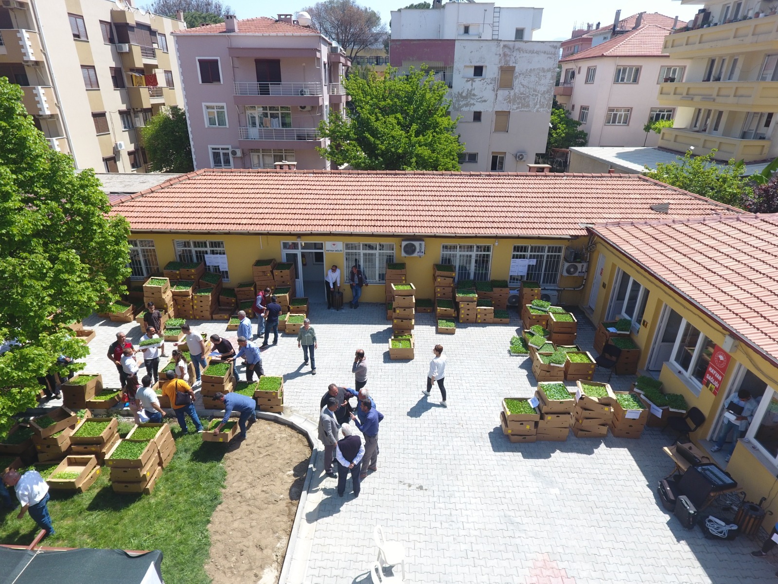 1 MİLYON 153 BİN ATA TOHUMUNDAN FİDE, MUĞLA ÇİFTÇİSİYLE BULUŞTU