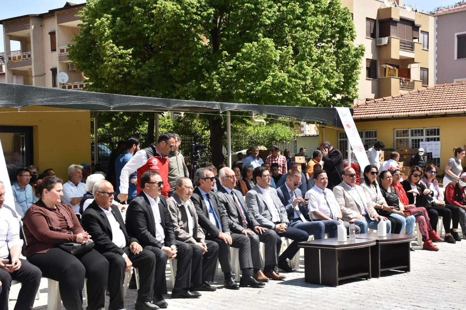 1 MİLYON 153 BİN ATA TOHUMUNDAN FİDE, MUĞLA ÇİFTÇİSİYLE BULUŞTU
