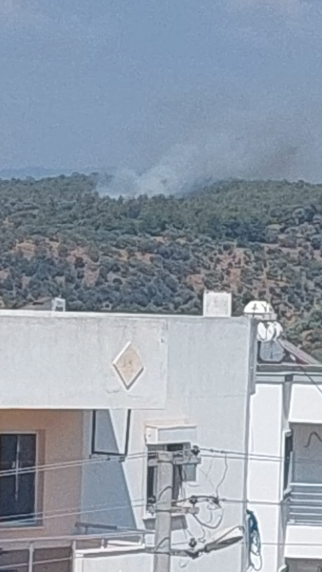 SON DAKİKA! Bodrum Mumcular'daki ormanlık alanda korkutan yangın! 3 helikopter ve 1 uçak bölgede! 