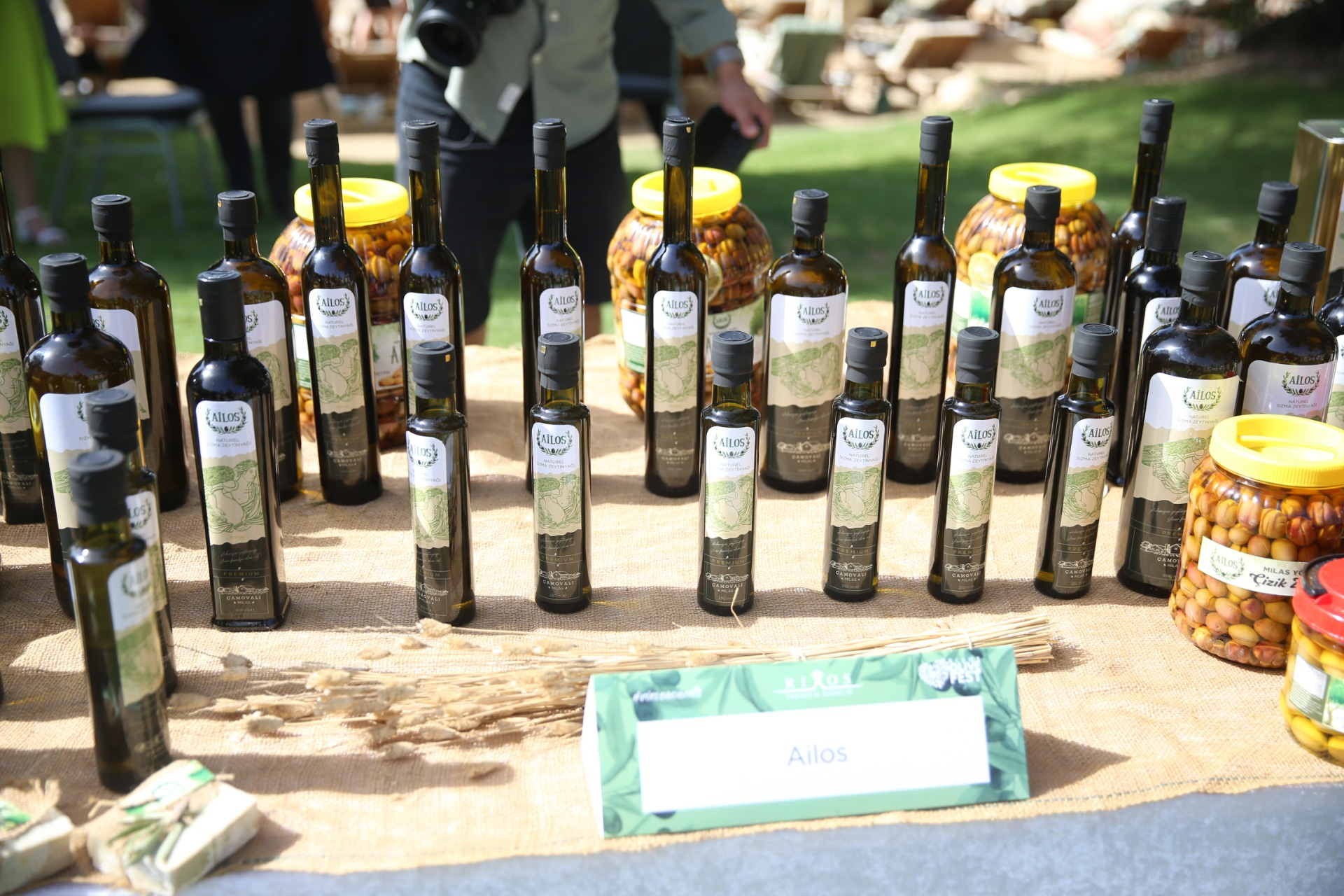 Turistler tatili bırakıp zeytin topladı