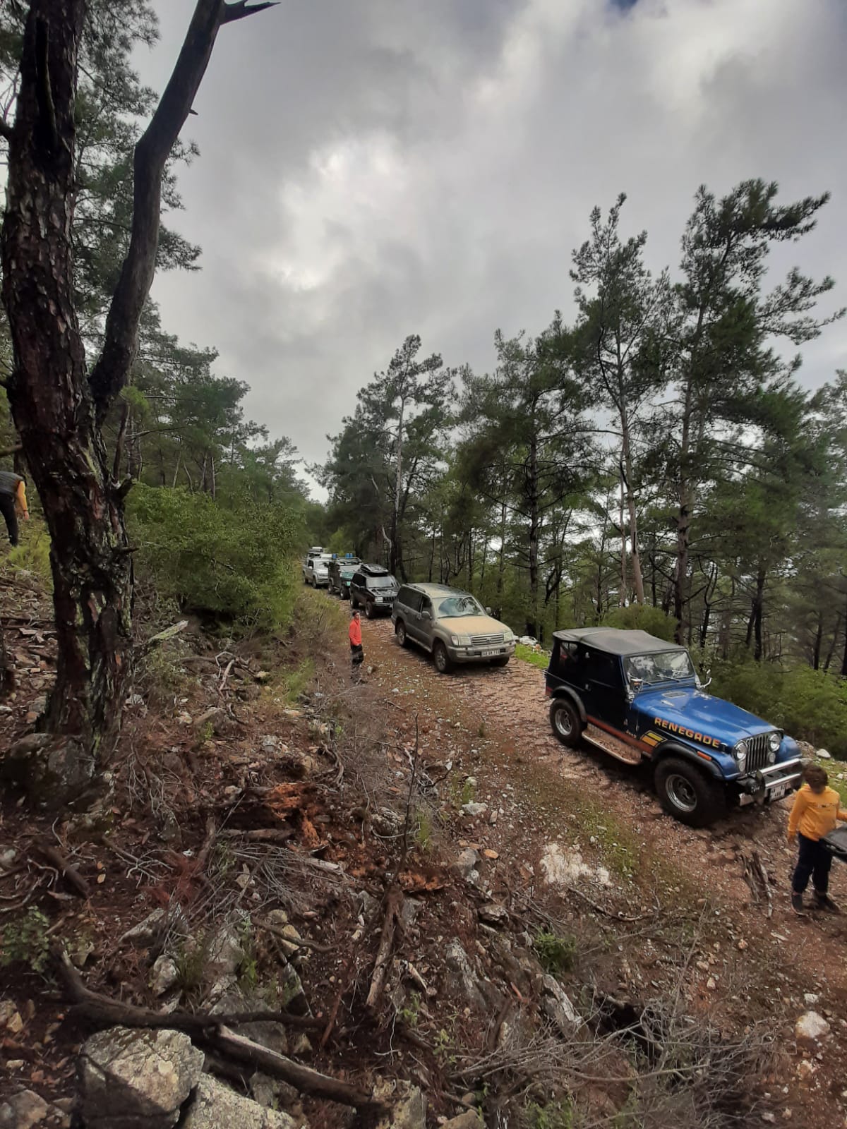 BODRUM OFFROAD KULÜBÜ YANAN ORMANLARIN YARASINI SARIYOR