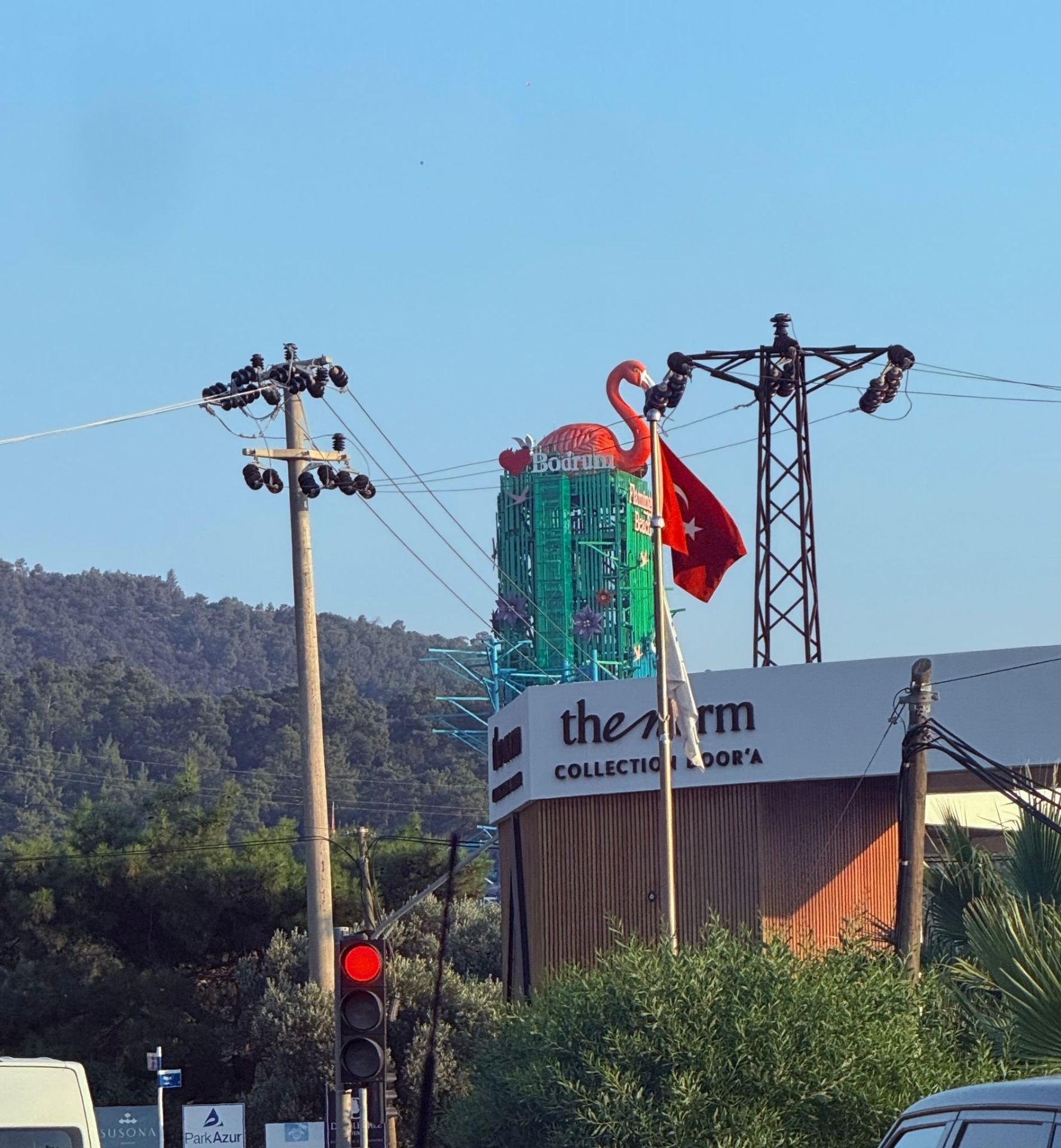 Mimarlar Odası Bodrum Temsilciliği: ‘Usuluk’ta Tartışılması Gereken Flamingo Değil, Çelik Yapının Hukuki Durumu’
