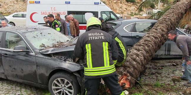 AĞACA ÇARPARAK DURABİLDİ