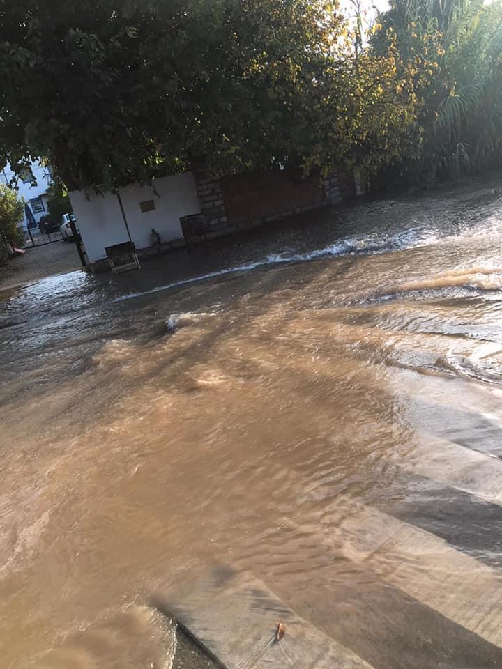 BODRUM'DA HAT PATLAKLARININ KAMU ZARARI 30 MİLYON LİRAYA ULAŞTI!