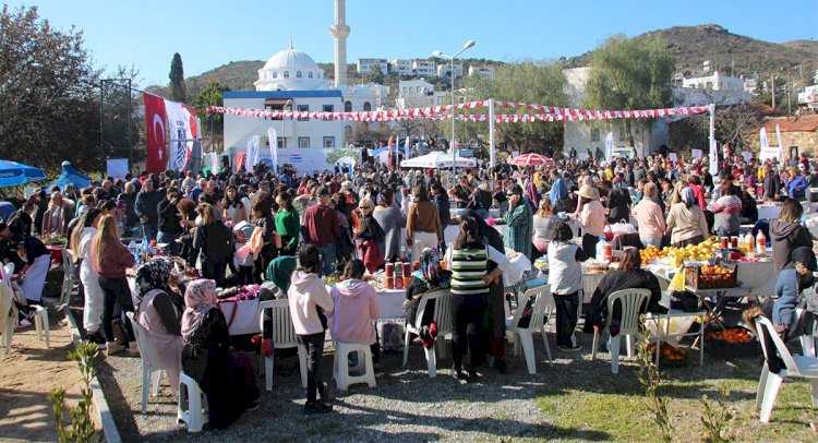 MANDALİNA HASAT ŞENLİĞİ'NDE ADIM ATACAK YER KALMADI!