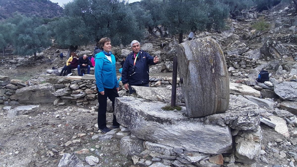 Latmos’ta zeytincilik yapılan yerleşim yerleri harabeye dönüyor