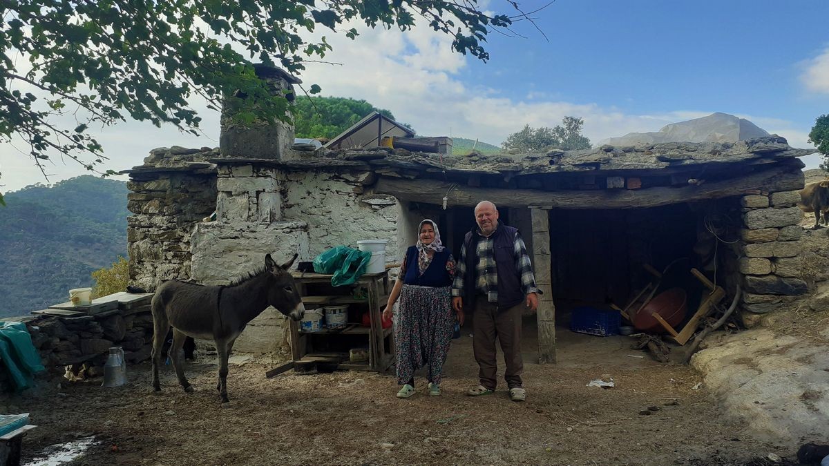Latmos’ta zeytincilik yapılan yerleşim yerleri harabeye dönüyor