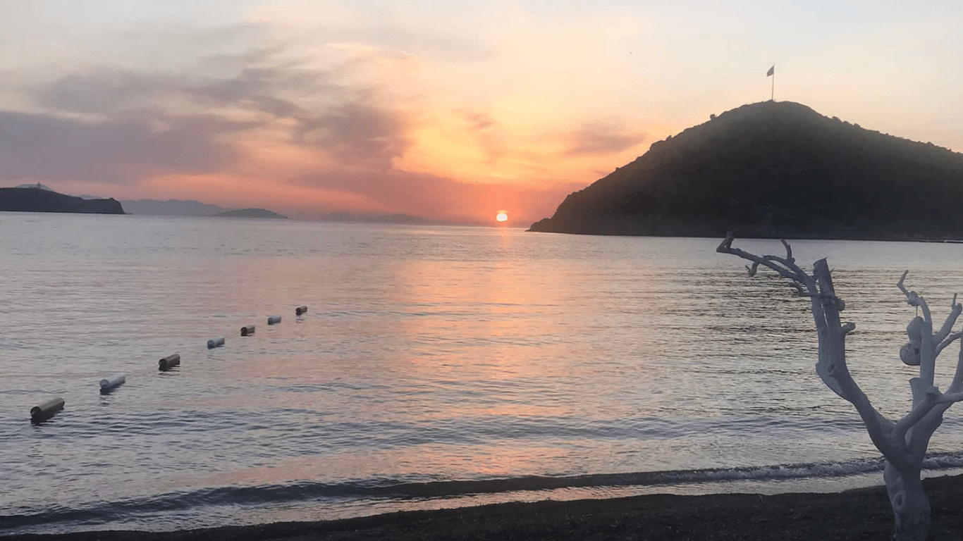 BİR ÇEVRE KATLİAMI DAHA! BODRUM’DA DERELERE KAÇAK ATIK SU BOŞALTILIYOR