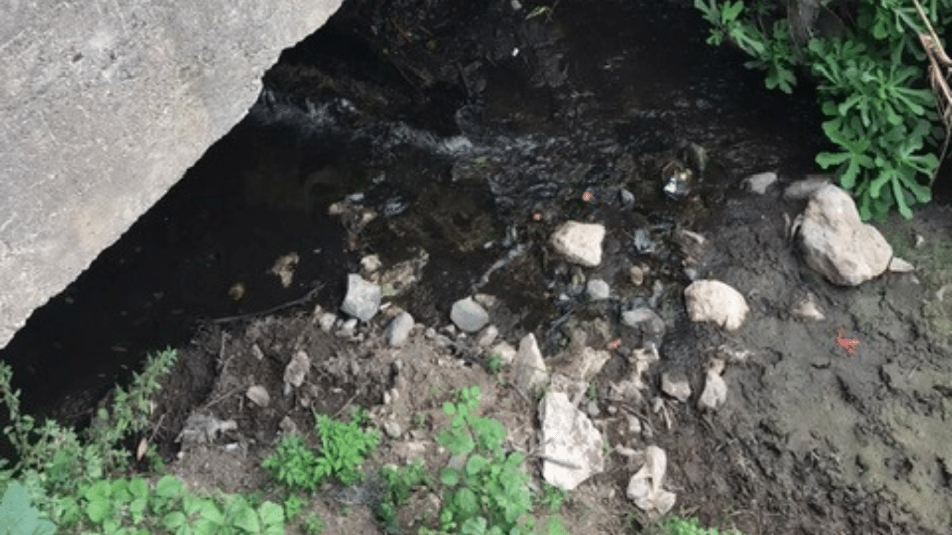 BİR ÇEVRE KATLİAMI DAHA! BODRUM’DA DERELERE KAÇAK ATIK SU BOŞALTILIYOR