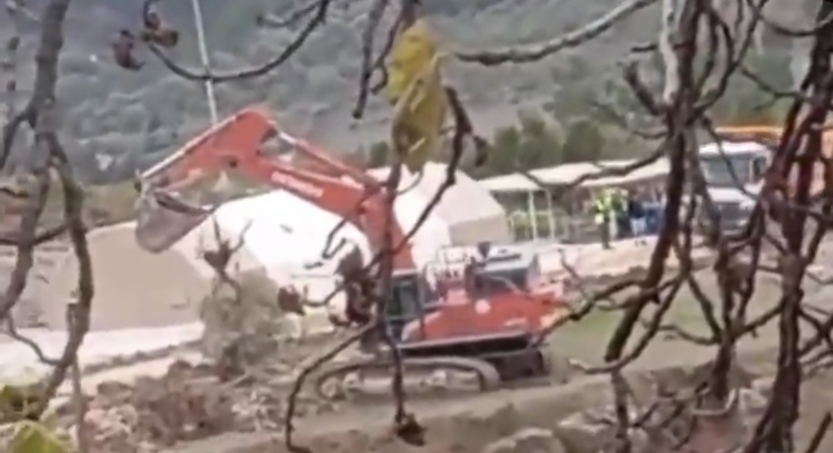 ‘Zeytin Talanı!’ Jandarma Gözetiminde Sürüyor…