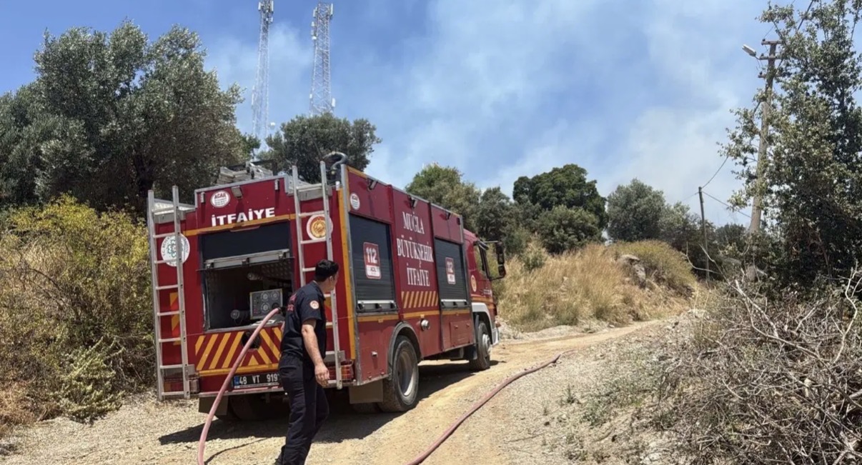 Bodrum'da elektrik tellerinden yangın çıktı