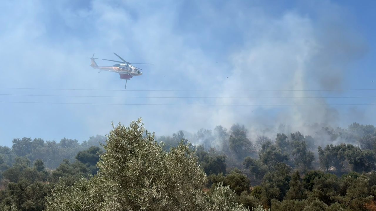 Milas Meşelik’teki Makilik Alan Yangını Kontrol Altına Alındı